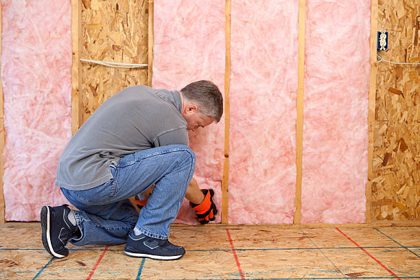 Best Types of Insulation in Temple Hills, MD